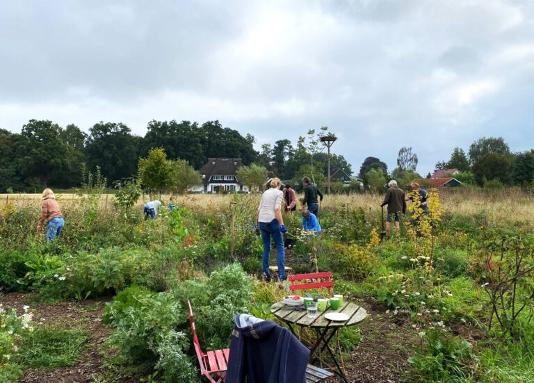 Het voedselbos in Terwolde — overzicht