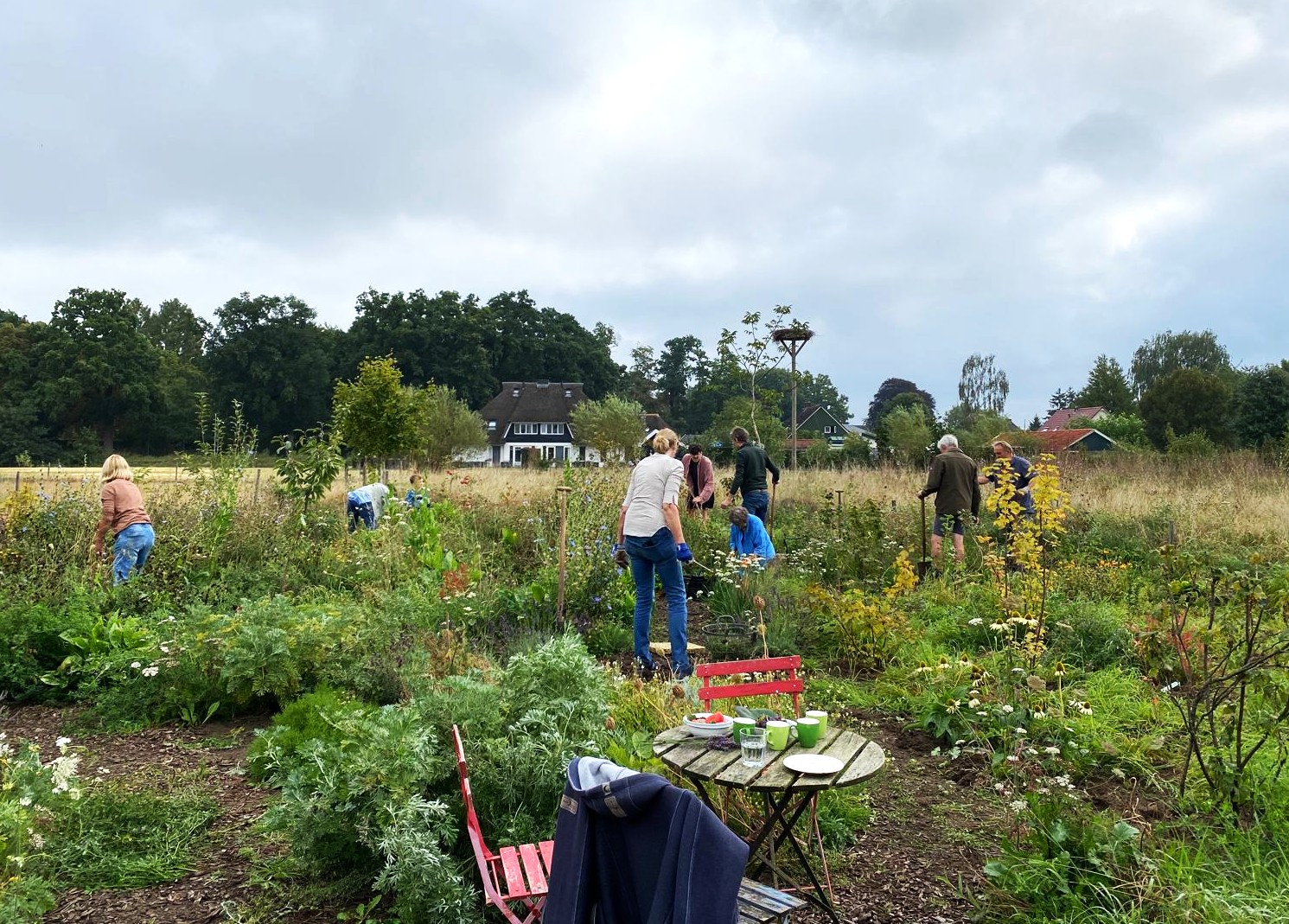 Het voedselbos in Terwolde — overzicht