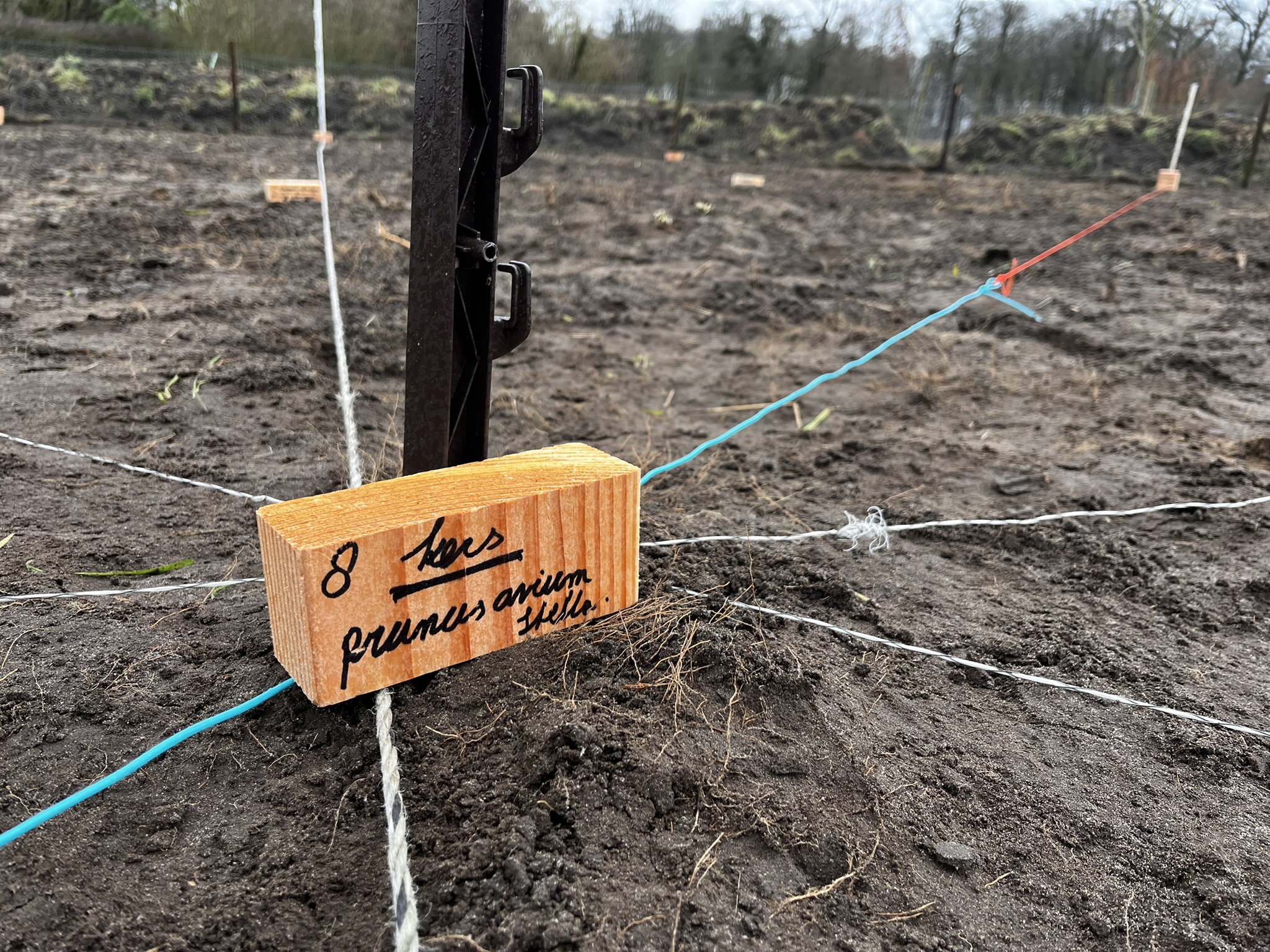 Speeltuin De Driehoek naast het voedselbos