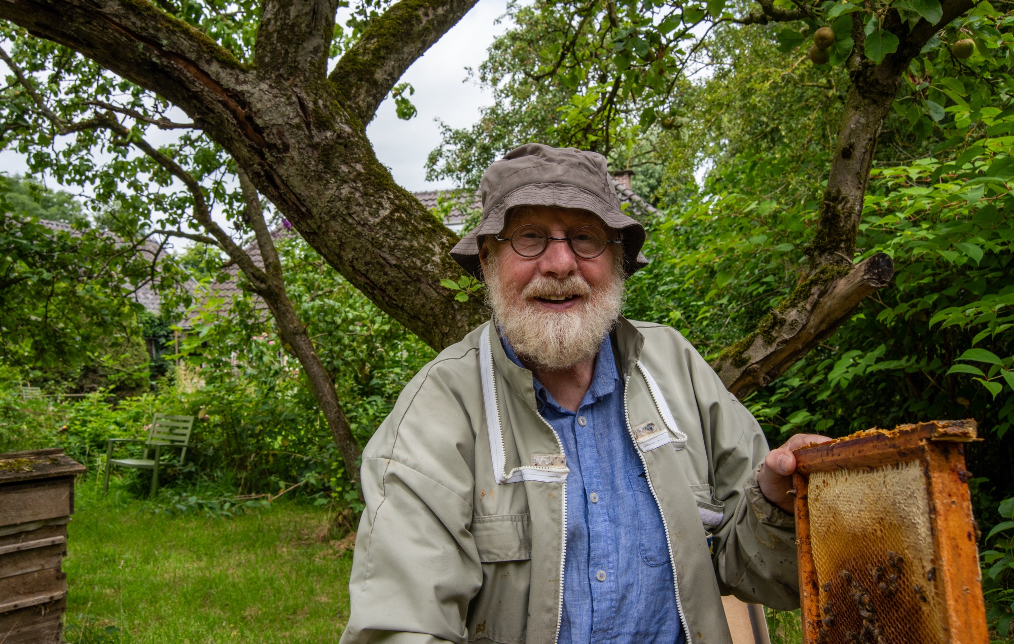 Bijenhouder Albert Muller met een honingraat in zijn tuin aan de Zeedijk in Nijbroek